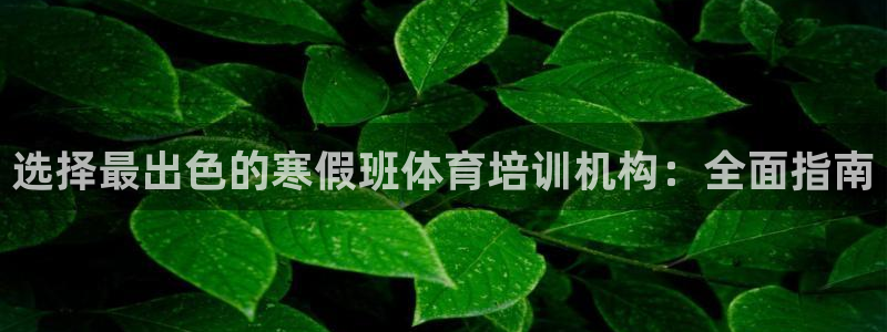 尊龙凯时网站登录：选择最出色的寒假班体育培训机构：全